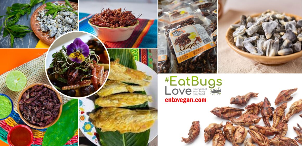 Strange Latin American Flavors Quietly Conquering the U.S.
